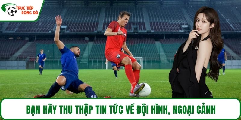 Bạn hãy thu thập tin tức về đội hình, ngoại cảnh