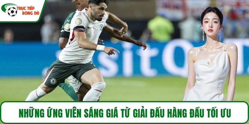 Những ứng viên sáng giá từ giải đấu hàng đầu tối ưu