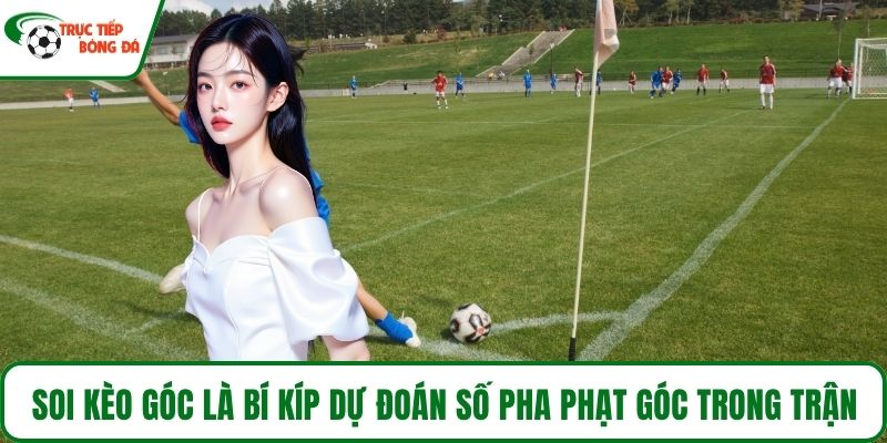 Soi kèo góc là bí kíp dự đoán số pha phạt góc trong trận